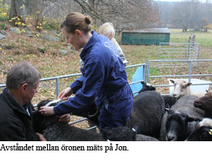 2011-12 Oronmatning.jpg