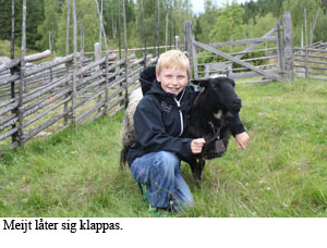 2013-24 Kram.jpg