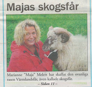 M_Melert.jpg
