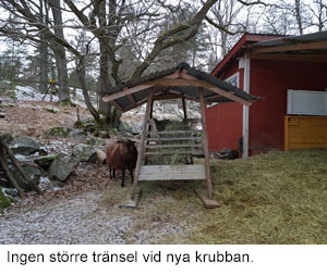 Nya krubban 2018.jpg