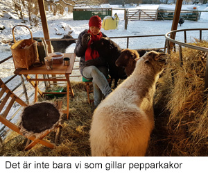 Pepparkakor.jpg