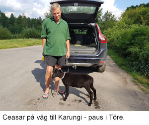 Tore.jpg