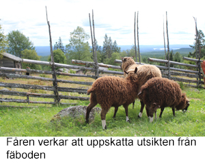 Utsikt.jpg