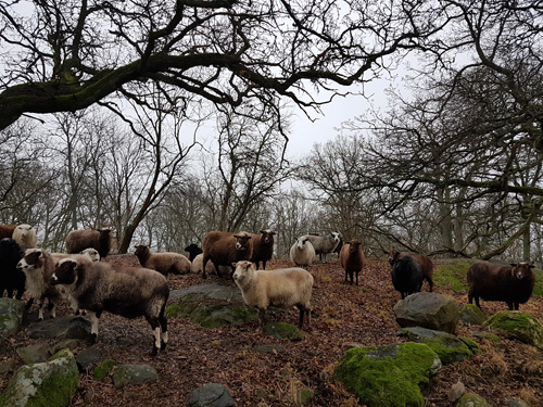 faren201912.jpg